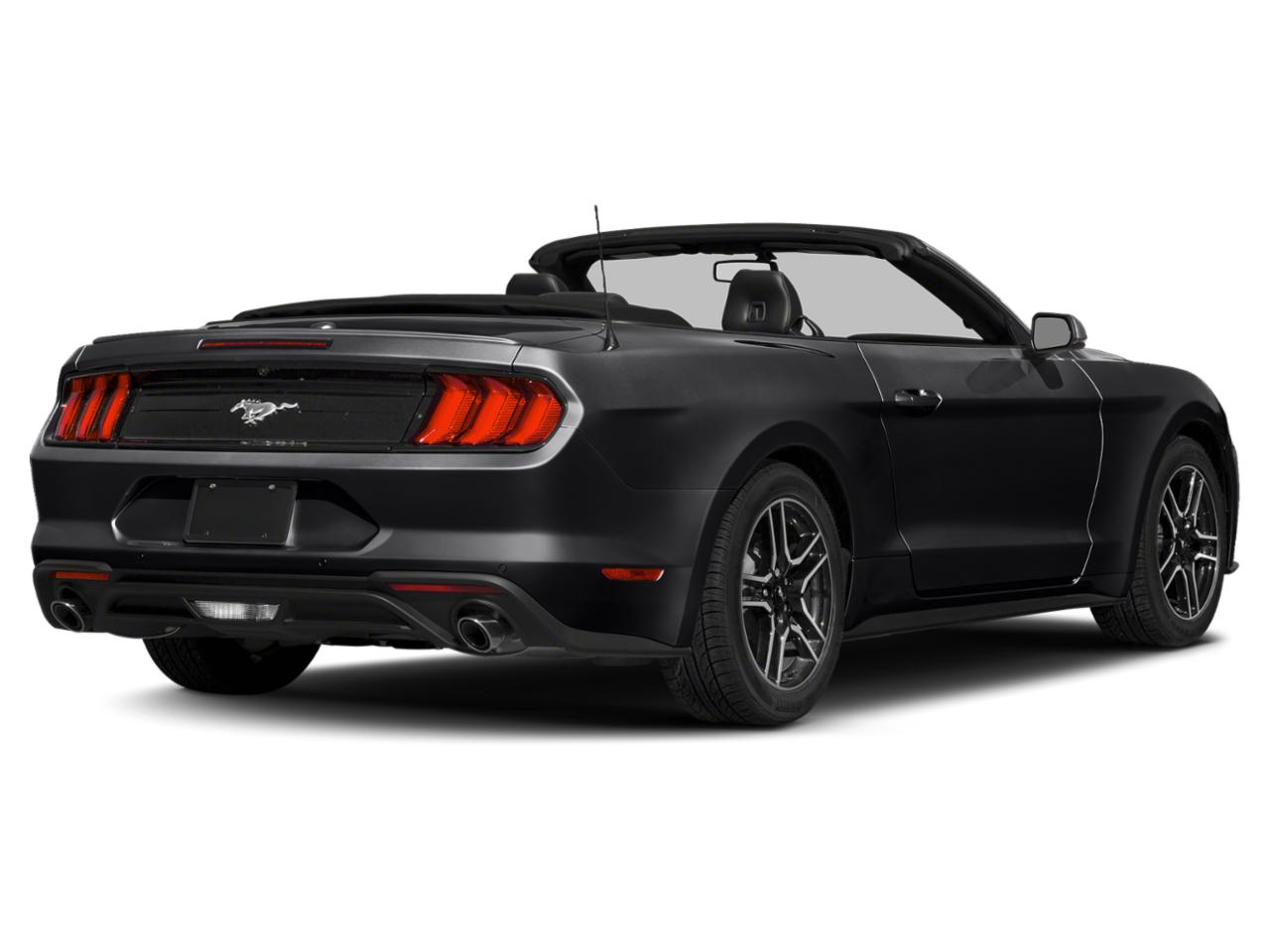 2019 Ford Mustang Vehicle Photo in Appleton, WI 54913