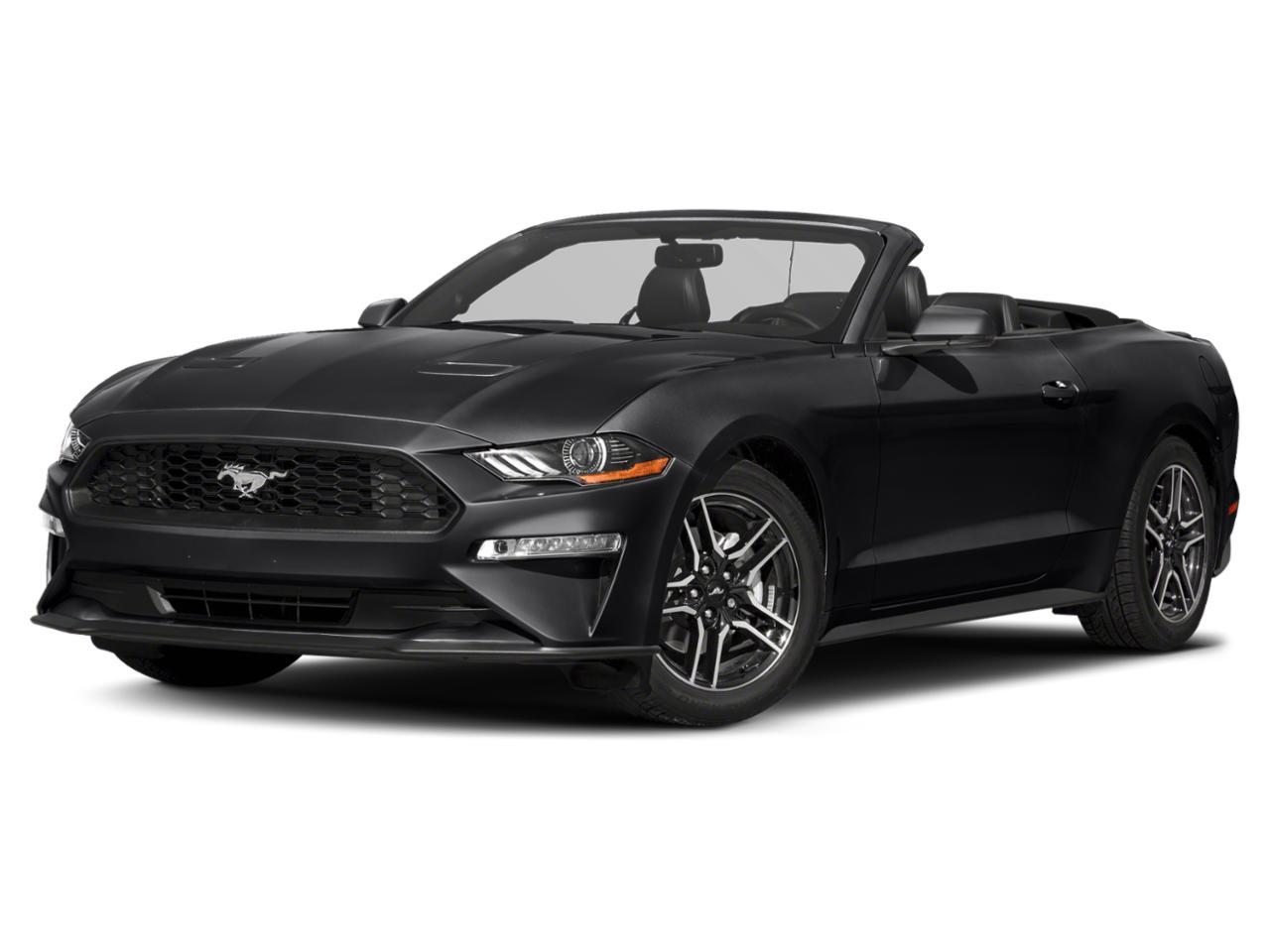 2019 Ford Mustang Vehicle Photo in Appleton, WI 54913