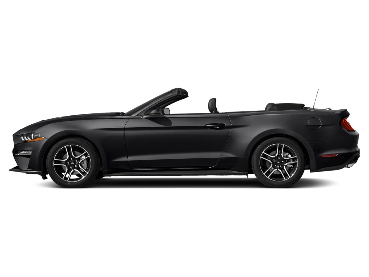 2019 Ford Mustang Vehicle Photo in Appleton, WI 54913