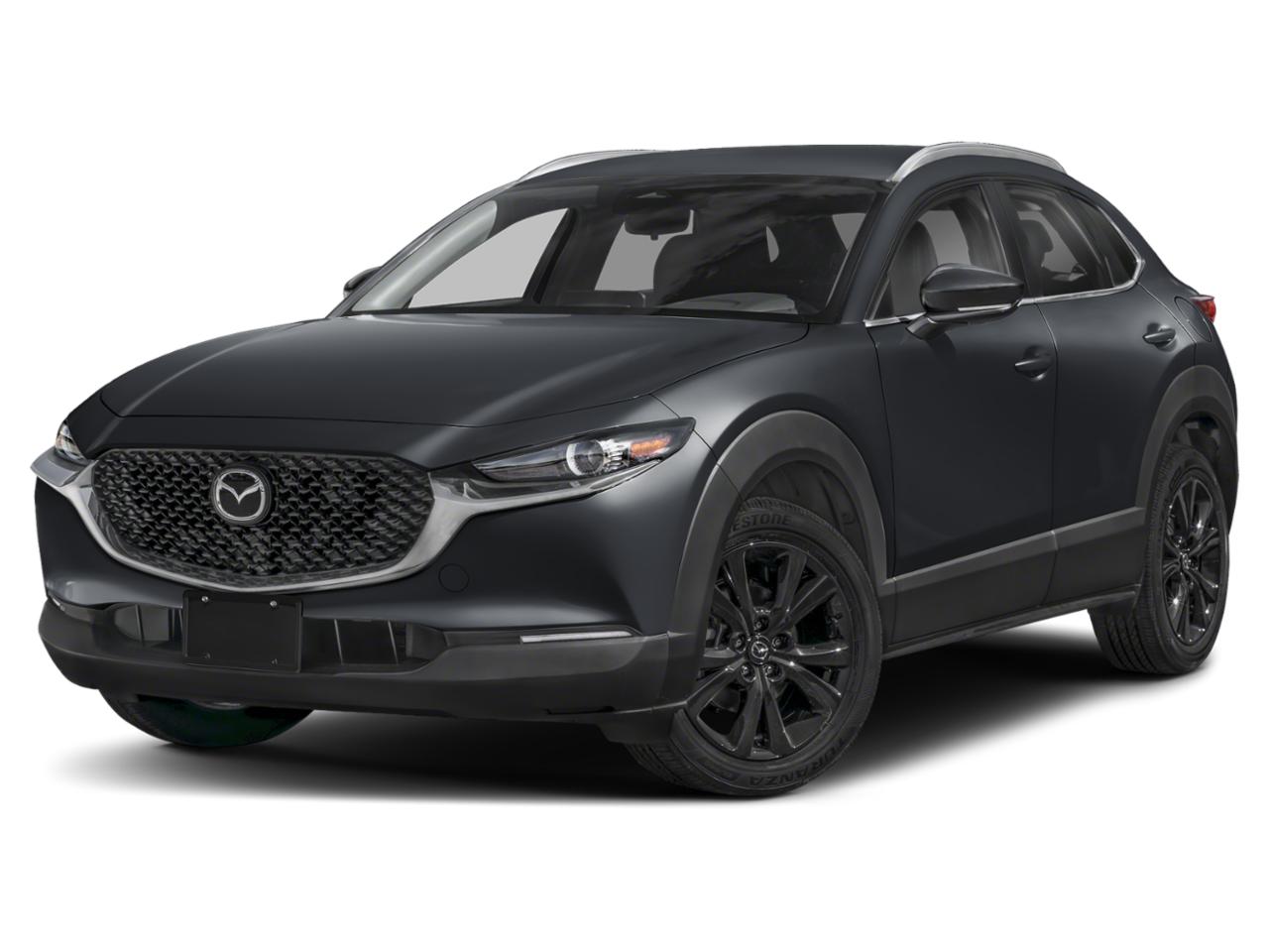 2024 Mazda CX-30 Vehicle Photo in Green Bay, WI 54304
