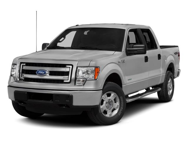 2013 Ford F-150 Vehicle Photo in Green Bay, WI 54304