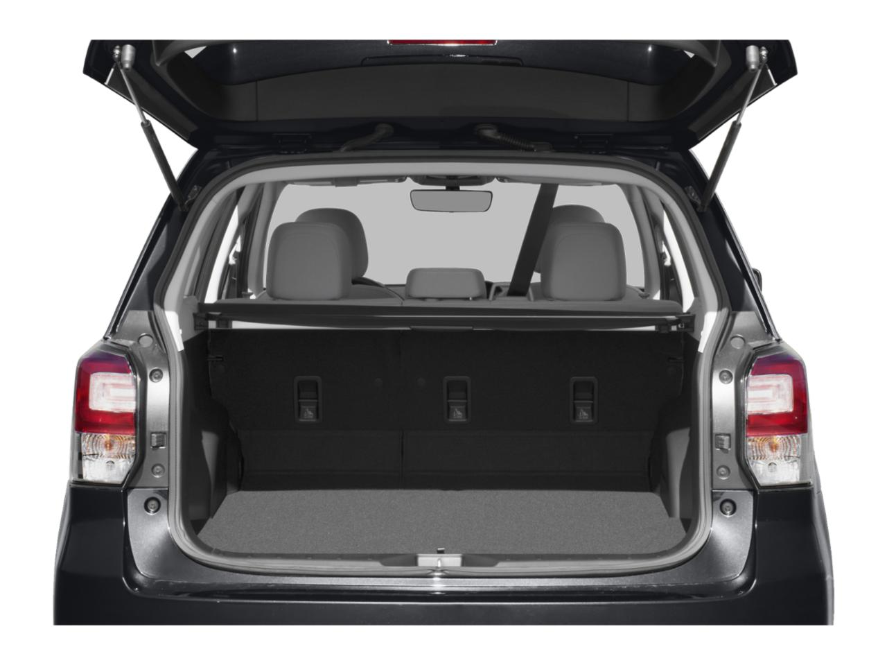 2018 Subaru Forester Vehicle Photo in Appleton, WI 54913
