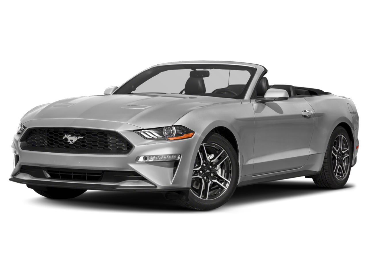 2019 Ford Mustang Vehicle Photo in Appleton, WI 54913