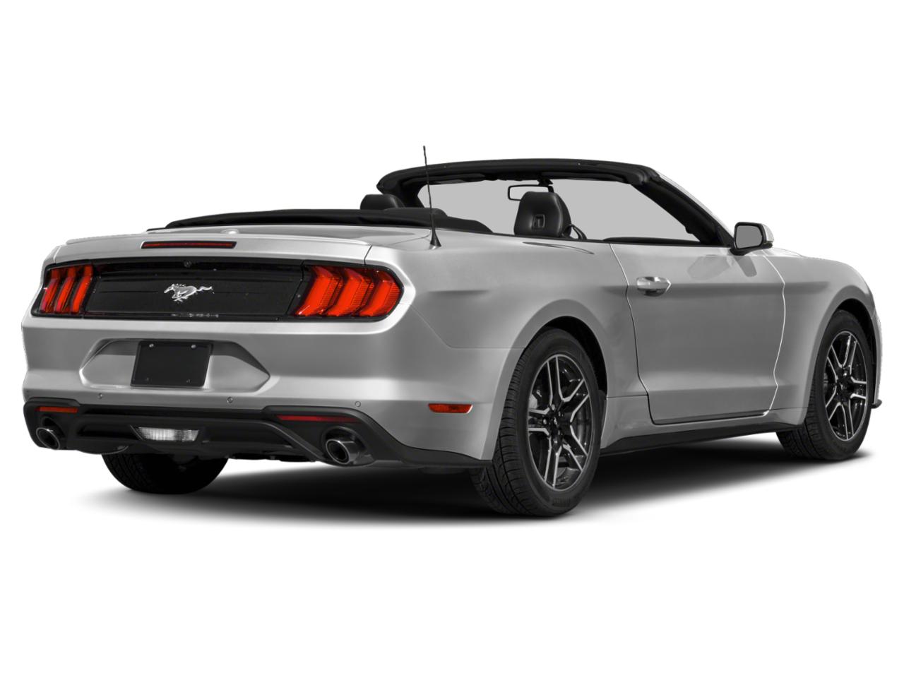 2019 Ford Mustang Vehicle Photo in Appleton, WI 54913