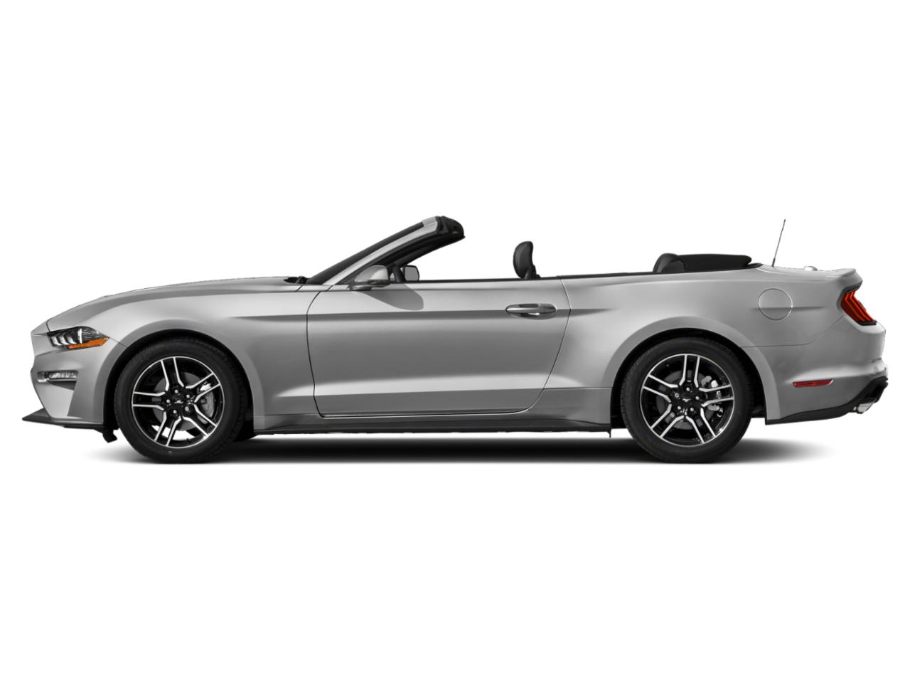 2019 Ford Mustang Vehicle Photo in Appleton, WI 54913
