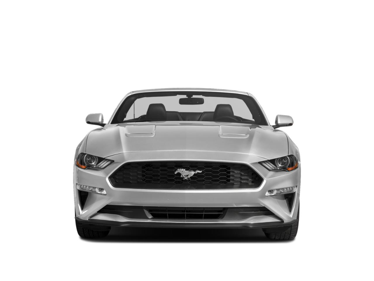 2019 Ford Mustang Vehicle Photo in Appleton, WI 54913