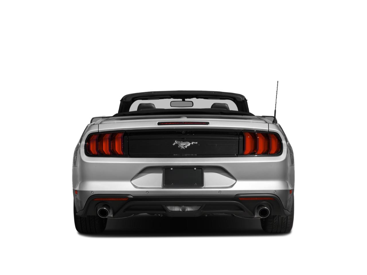 2019 Ford Mustang Vehicle Photo in Appleton, WI 54913