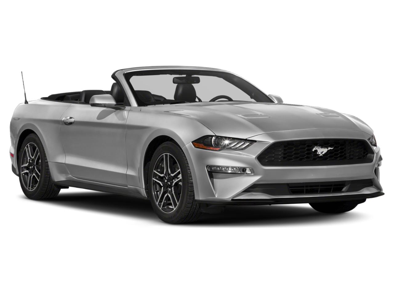 2019 Ford Mustang Vehicle Photo in Appleton, WI 54913