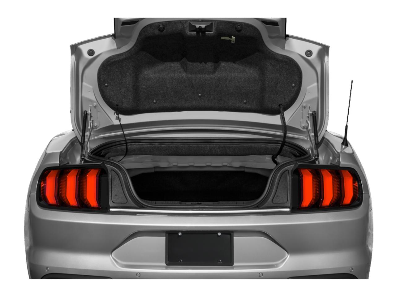 2019 Ford Mustang Vehicle Photo in Appleton, WI 54913