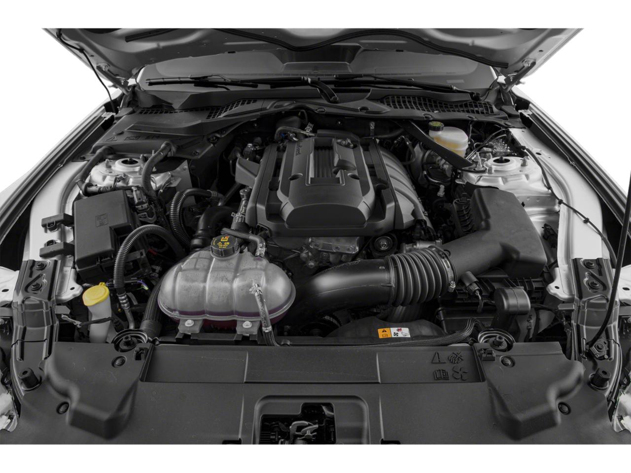 2019 Ford Mustang Vehicle Photo in Appleton, WI 54913