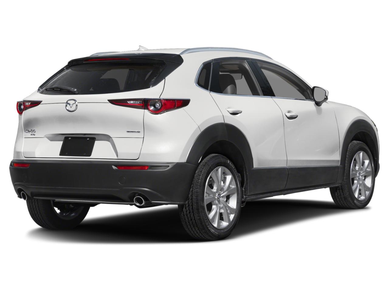 2024 Mazda CX-30 Vehicle Photo in Green Bay, WI 54304