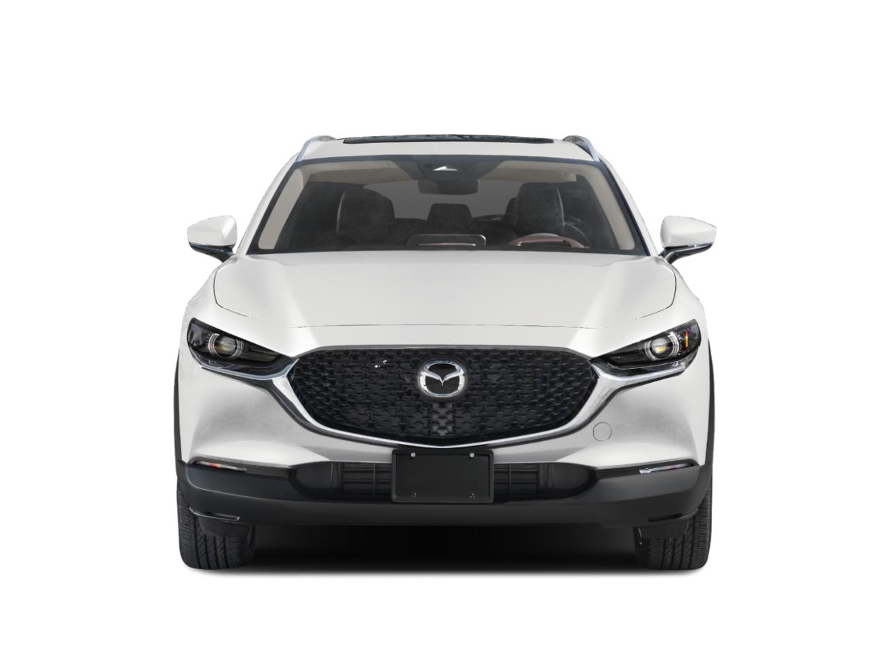 2024 Mazda CX-30 Vehicle Photo in Green Bay, WI 54304