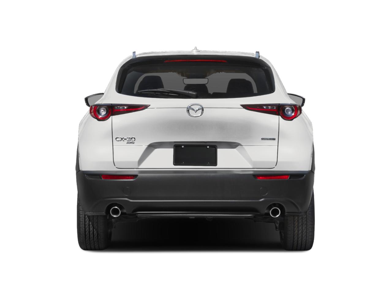 2024 Mazda CX-30 Vehicle Photo in Green Bay, WI 54304