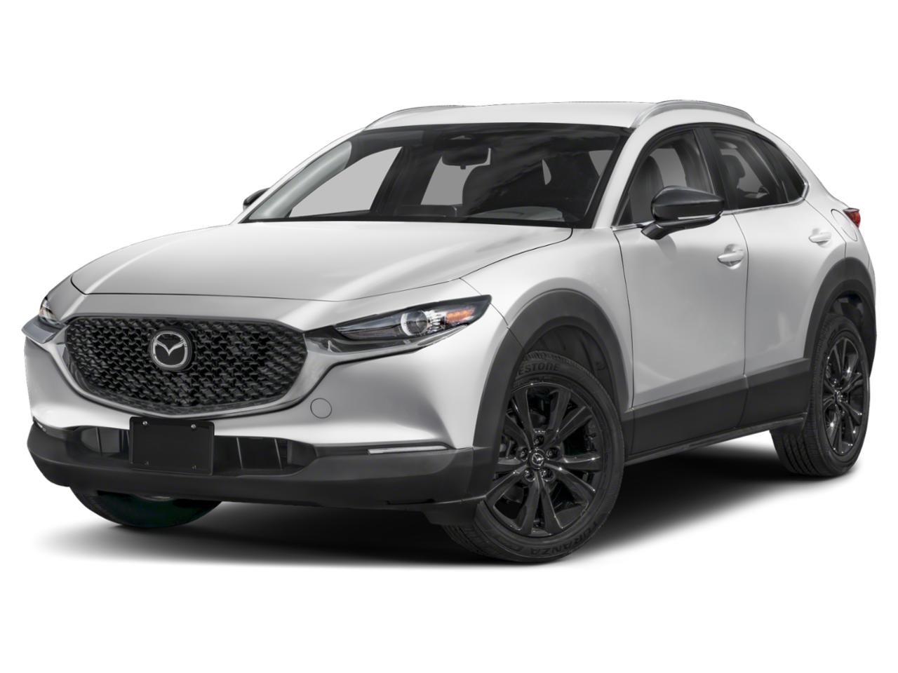 2024 Mazda CX-30 Vehicle Photo in Green Bay, WI 54304