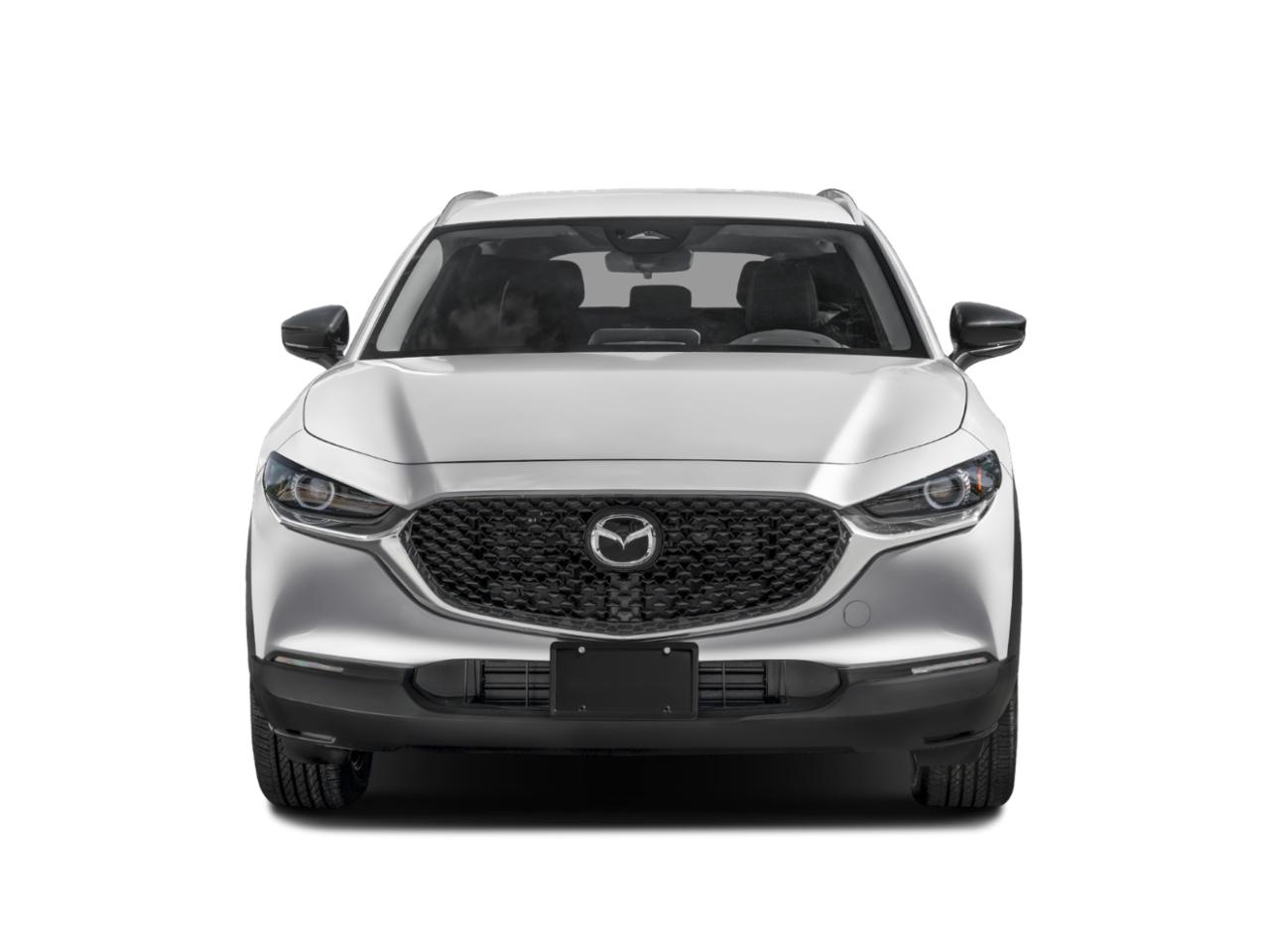 2024 Mazda CX-30 Vehicle Photo in Green Bay, WI 54304