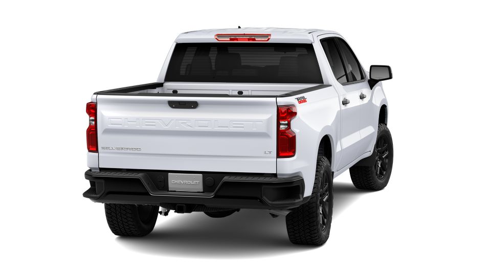 2024 Chevrolet Silverado 1500 Vehicle Photo in OSHKOSH, WI 54904-7811
