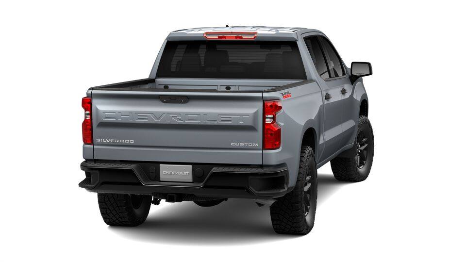 2025 Chevrolet Silverado 1500 Vehicle Photo in NEENAH, WI 54956-2243