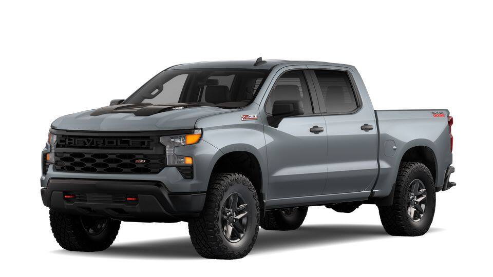2025 Chevrolet Silverado 1500 Vehicle Photo in NEENAH, WI 54956-2243
